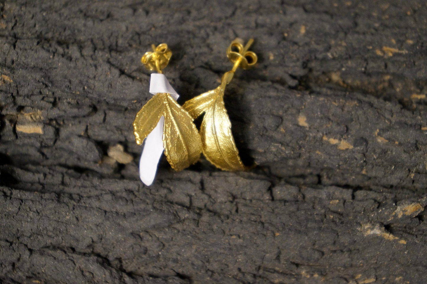 Real Rose Leaf Hoop Earrings | Gold Plated Sterling Silver | Nature Jewelry